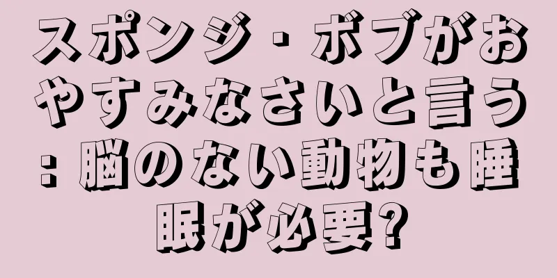 スポンジ・ボブがおやすみなさいと言う: 脳のない動物も睡眠が必要?