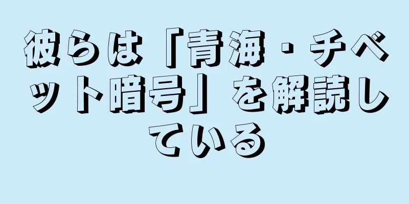 彼らは「青海・チベット暗号」を解読している