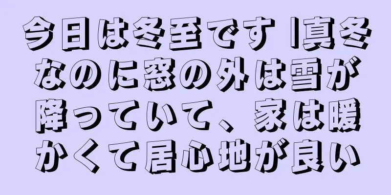 今日は冬至です |真冬なのに窓の外は雪が降っていて、家は暖かくて居心地が良い