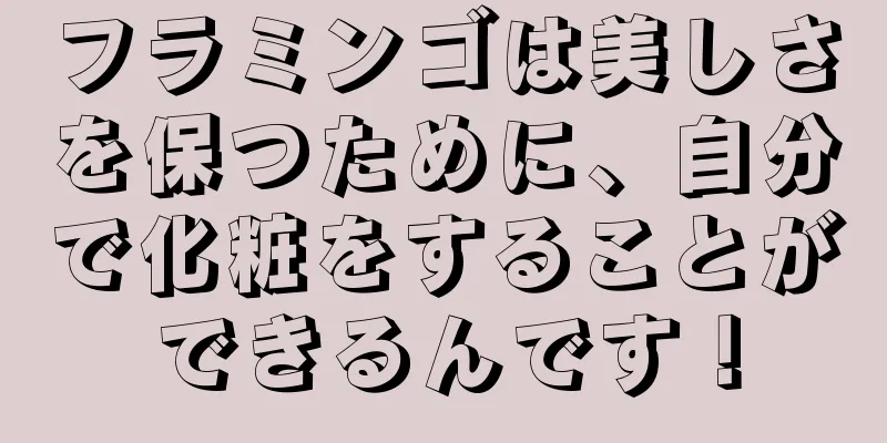 フラミンゴは美しさを保つために、自分で化粧をすることができるんです！