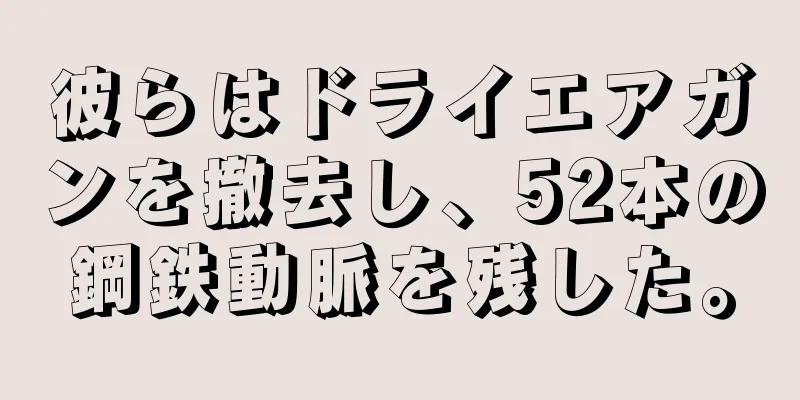 彼らはドライエアガンを撤去し、52本の鋼鉄動脈を残した。