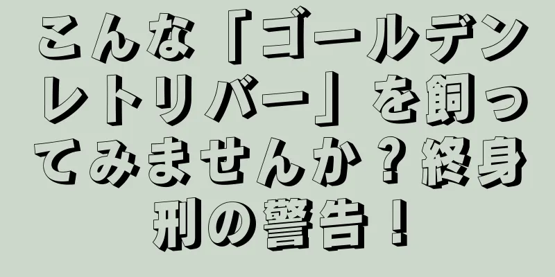 こんな「ゴールデンレトリバー」を飼ってみませんか？終身刑の警告！