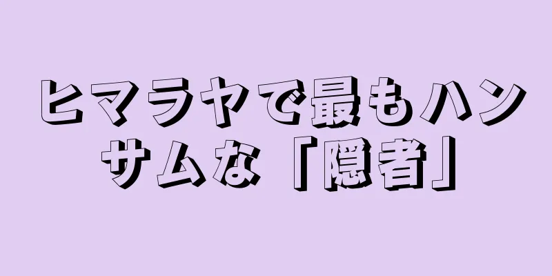 ヒマラヤで最もハンサムな「隠者」
