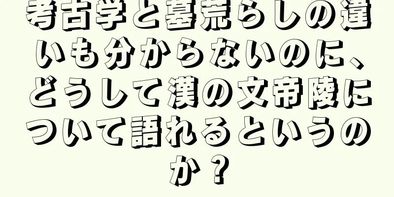 考古学と墓荒らしの違いも分からないのに、どうして漢の文帝陵について語れるというのか？