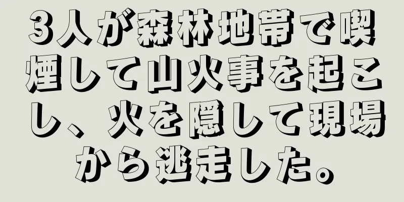 3人が森林地帯で喫煙して山火事を起こし、火を隠して現場から逃走した。