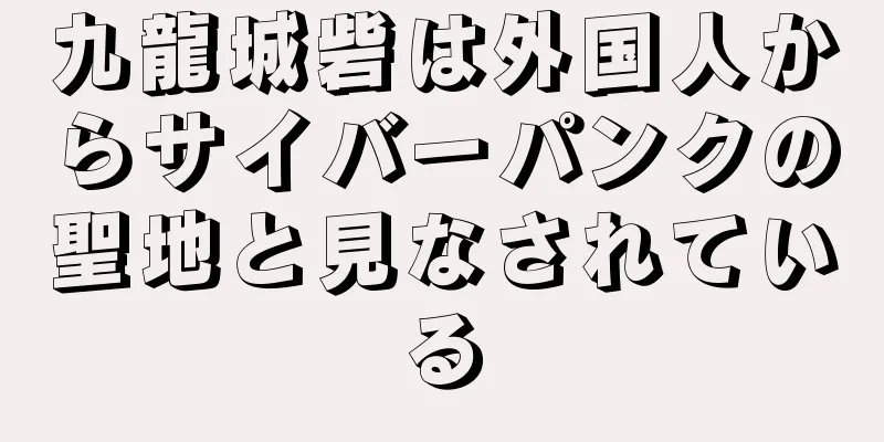 九龍城砦は外国人からサイバーパンクの聖地と見なされている