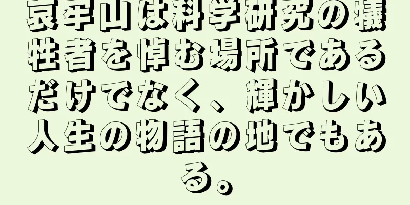 哀牢山は科学研究の犠牲者を悼む場所であるだけでなく、輝かしい人生の物語の地でもある。