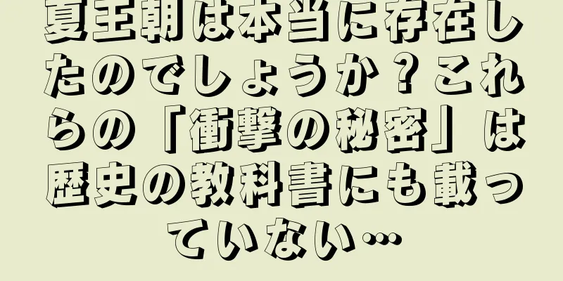 夏王朝は本当に存在したのでしょうか？これらの「衝撃の秘密」は歴史の教科書にも載っていない…