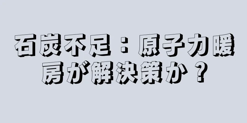 石炭不足：原子力暖房が解決策か？