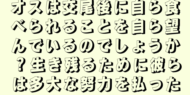 オスは交尾後に自ら食べられることを自ら望んでいるのでしょうか？生き残るために彼らは多大な努力を払った