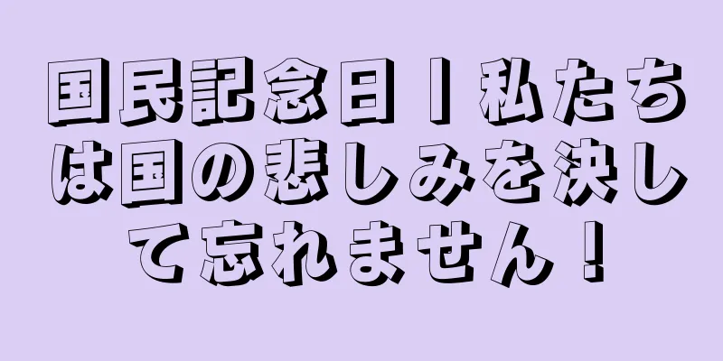 国民記念日丨私たちは国の悲しみを決して忘れません！