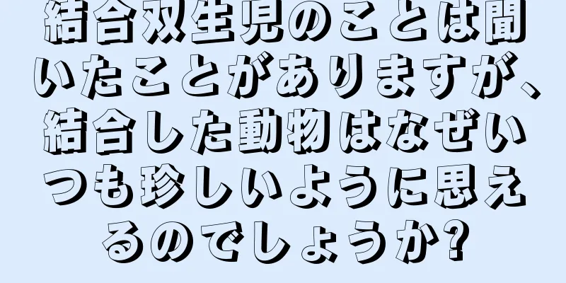 結合双生児のことは聞いたことがありますが、結合した動物はなぜいつも珍しいように思えるのでしょうか?