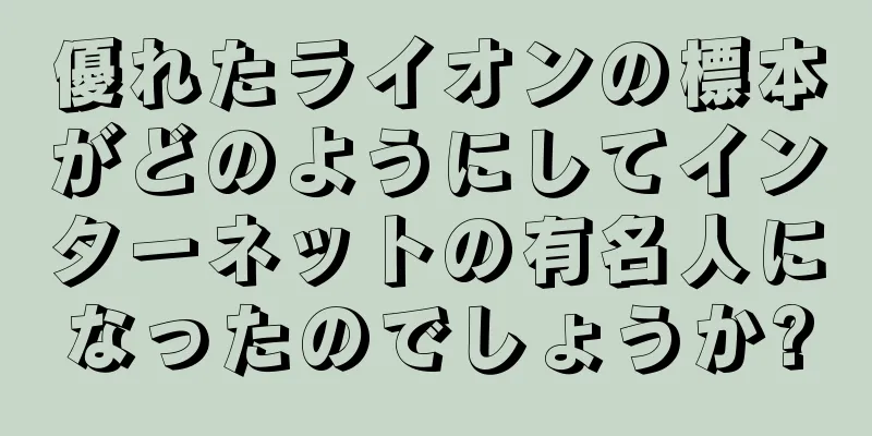 優れたライオンの標本がどのようにしてインターネットの有名人になったのでしょうか?
