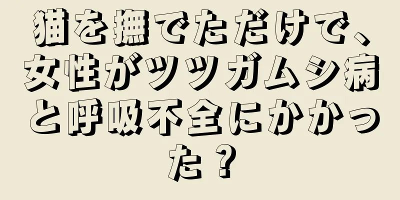 猫を撫でただけで、女性がツツガムシ病と呼吸不全にかかった？