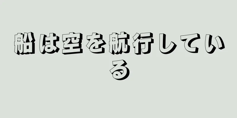 船は空を航行している
