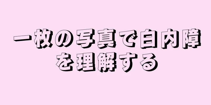 一枚の写真で白内障を理解する
