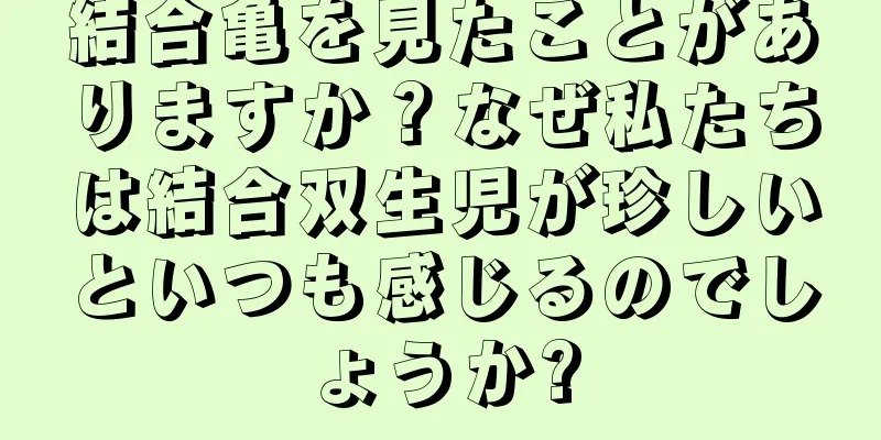 結合亀を見たことがありますか？なぜ私たちは結合双生児が珍しいといつも感じるのでしょうか?