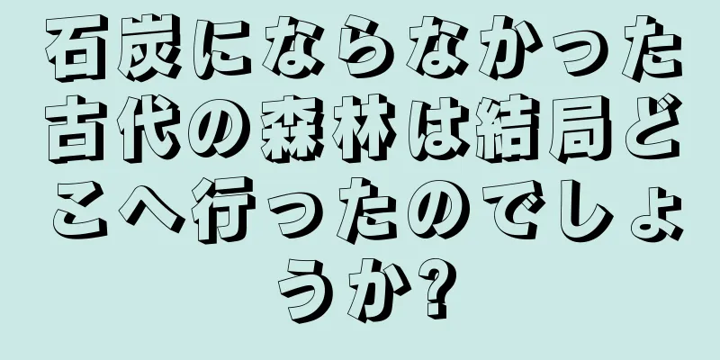 石炭にならなかった古代の森林は結局どこへ行ったのでしょうか?