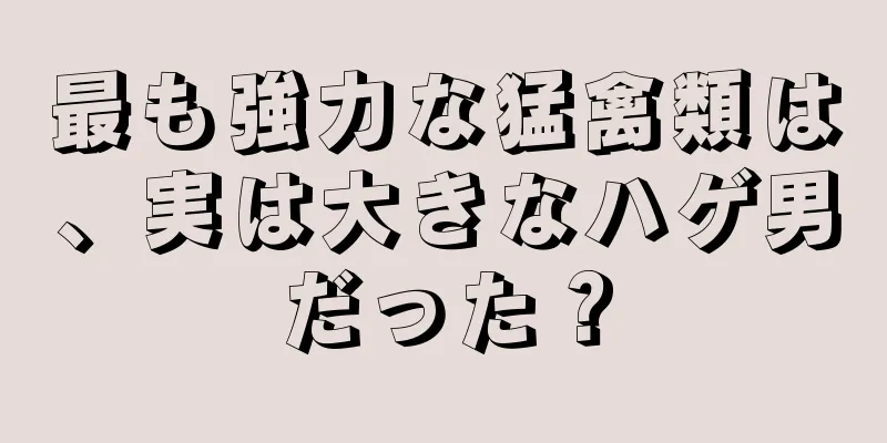 最も強力な猛禽類は、実は大きなハゲ男だった？