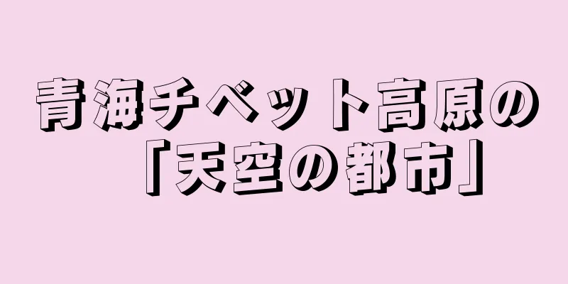 青海チベット高原の「天空の都市」