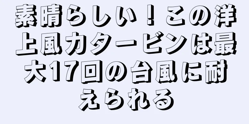 素晴らしい！この洋上風力タービンは最大17回の台風に耐えられる