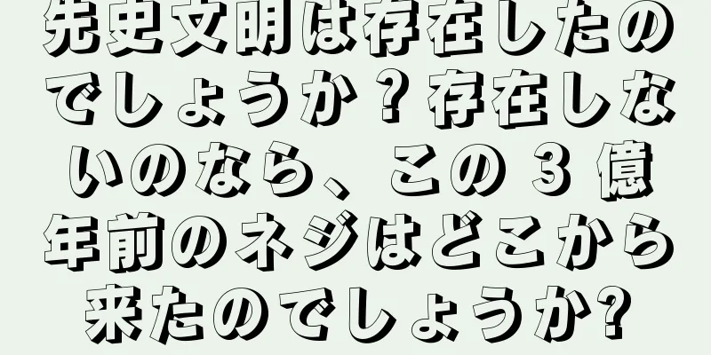 先史文明は存在したのでしょうか？存在しないのなら、この 3 億年前のネジはどこから来たのでしょうか?