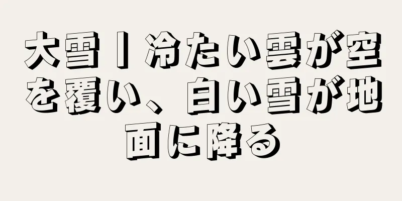 大雪丨冷たい雲が空を覆い、白い雪が地面に降る