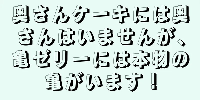 奥さんケーキには奥さんはいませんが、亀ゼリーには本物の亀がいます！
