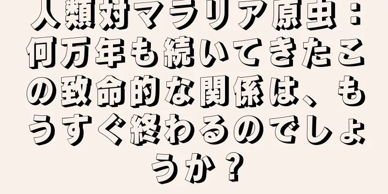 人類対マラリア原虫：何万年も続いてきたこの致命的な関係は、もうすぐ終わるのでしょうか？