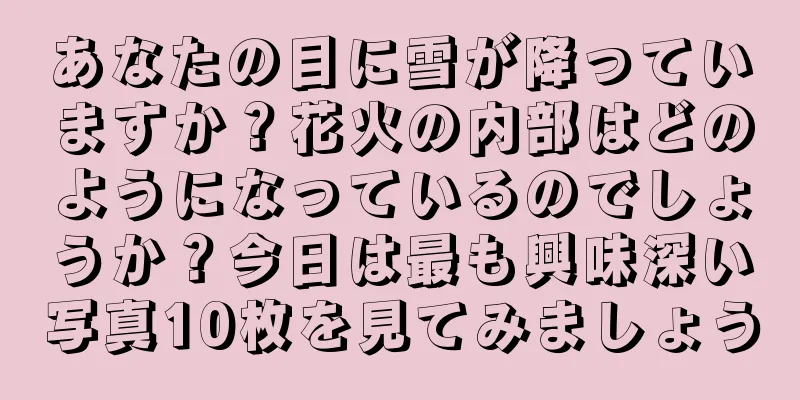 あなたの目に雪が降っていますか？花火の内部はどのようになっているのでしょうか？今日は最も興味深い写真10枚を見てみましょう