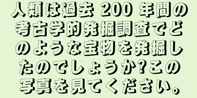 人類は過去 200 年間の考古学的発掘調査でどのような宝物を発掘したのでしょうか?この写真を見てください。