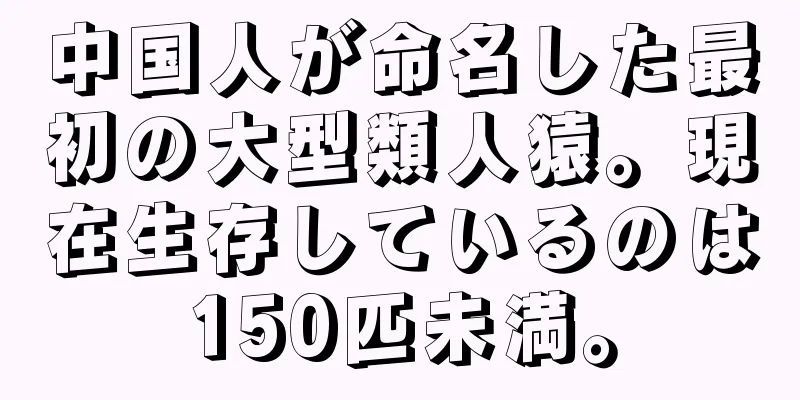中国人が命名した最初の大型類人猿。現在生存しているのは150匹未満。