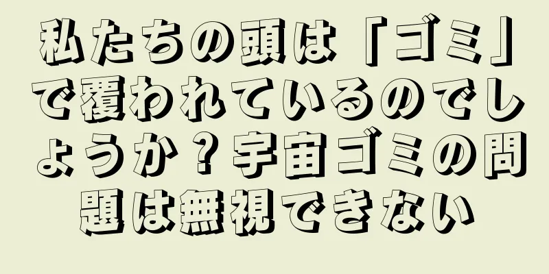 私たちの頭は「ゴミ」で覆われているのでしょうか？宇宙ゴミの問題は無視できない