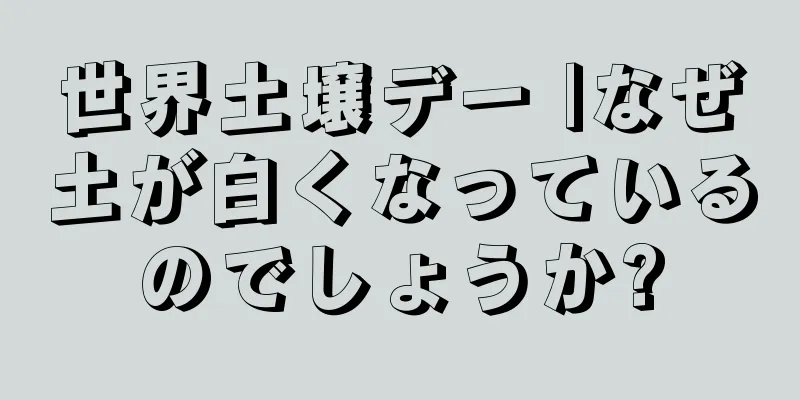 世界土壌デー |なぜ土が白くなっているのでしょうか?