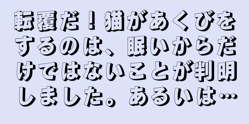 転覆だ！猫があくびをするのは、眠いからだけではないことが判明しました。あるいは…
