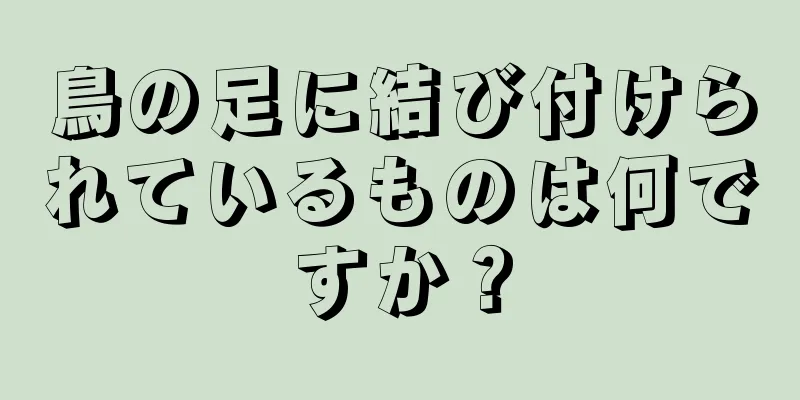 鳥の足に結び付けられているものは何ですか？