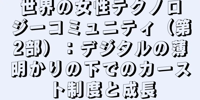 世界の女性テクノロジーコミュニティ（第2部）：デジタルの薄明かりの下でのカースト制度と成長