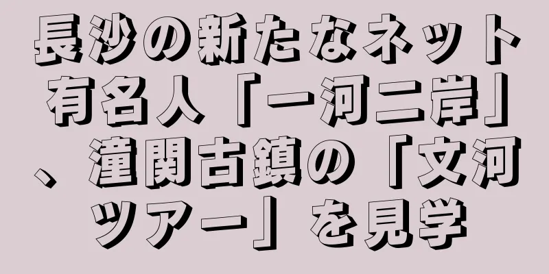 長沙の新たなネット有名人「一河二岸」、潼関古鎮の「文河ツアー」を見学