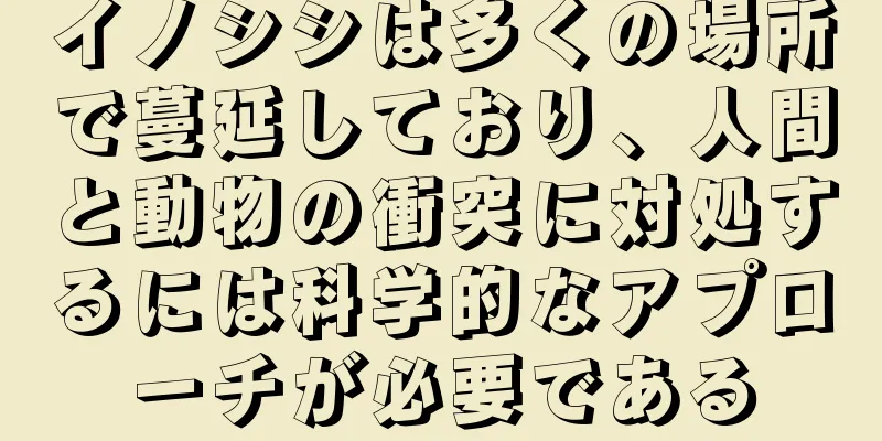 イノシシは多くの場所で蔓延しており、人間と動物の衝突に対処するには科学的なアプローチが必要である