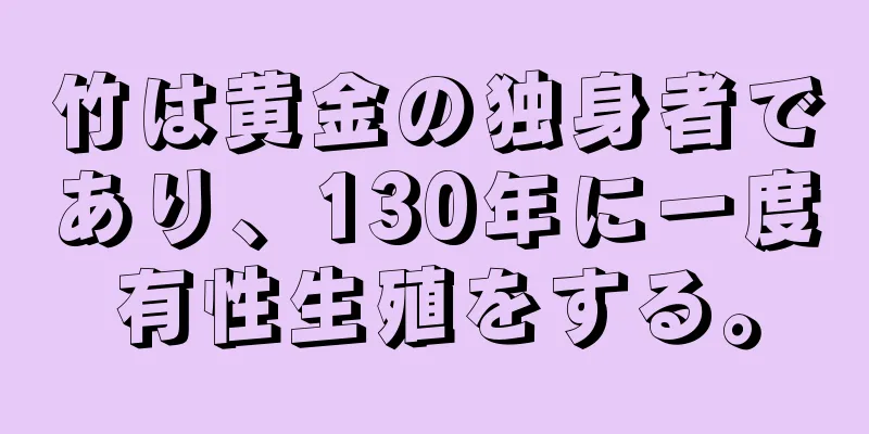 竹は黄金の独身者であり、130年に一度有性生殖をする。