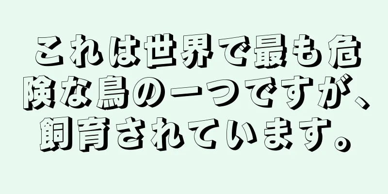 これは世界で最も危険な鳥の一つですが、飼育されています。