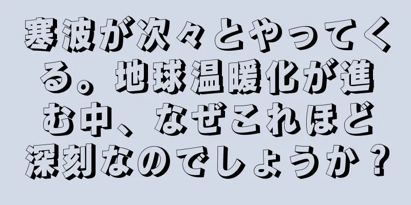 寒波が次々とやってくる。地球温暖化が進む中、なぜこれほど深刻なのでしょうか？