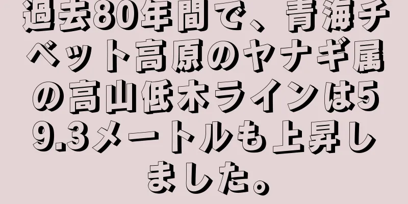 過去80年間で、青海チベット高原のヤナギ属の高山低木ラインは59.3メートルも上昇しました。