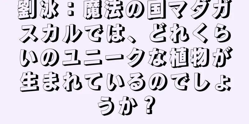 劉冰：魔法の国マダガスカルでは、どれくらいのユニークな植物が生まれているのでしょうか？