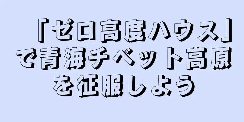 「ゼロ高度ハウス」で青海チベット高原を征服しよう
