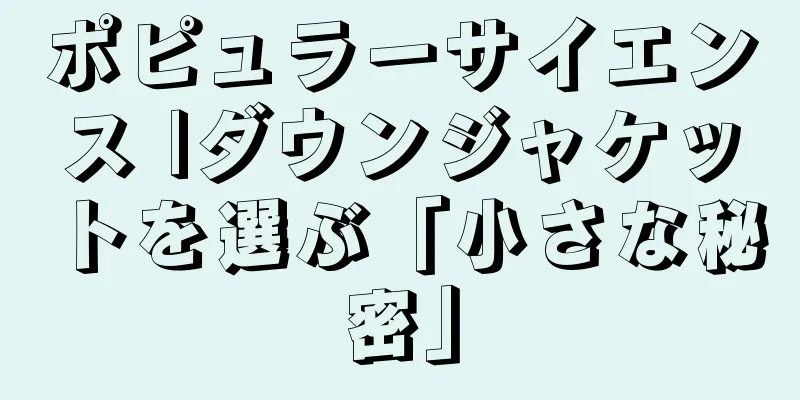 ポピュラーサイエンス |ダウンジャケットを選ぶ「小さな秘密」