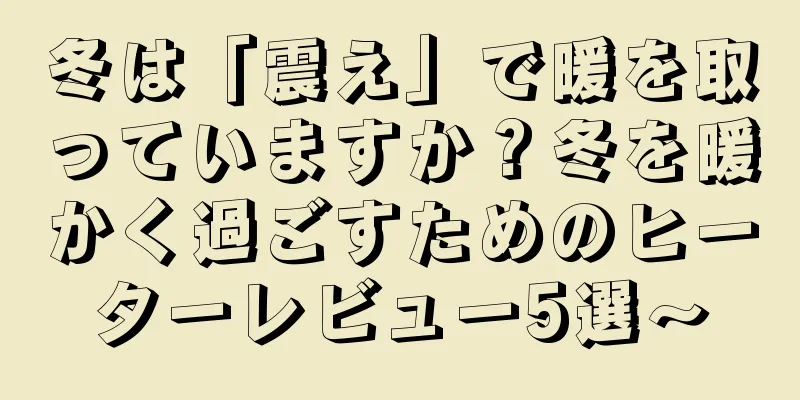 冬は「震え」で暖を取っていますか？冬を暖かく過ごすためのヒーターレビュー5選～