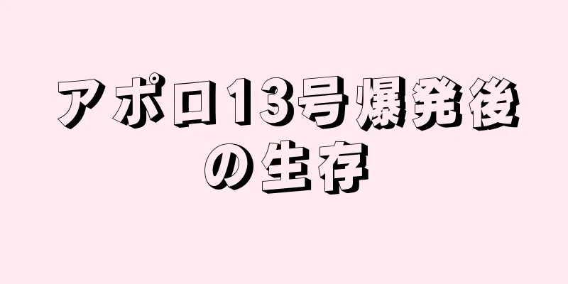 アポロ13号爆発後の生存