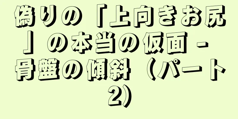 偽りの「上向きお尻」の本当の仮面 - 骨盤の傾斜（パート2）