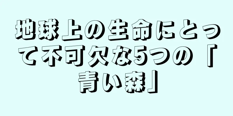 地球上の生命にとって不可欠な5つの「青い森」